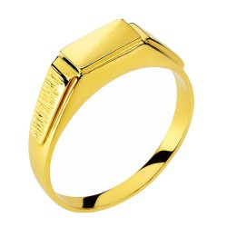 Χρυσό ανδρικό chevalier δαχτυλίδι Κ14